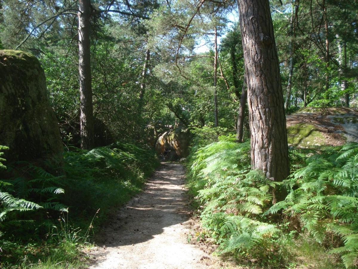 Les Premices De La Foret Chailly-en-Biere Exterior foto