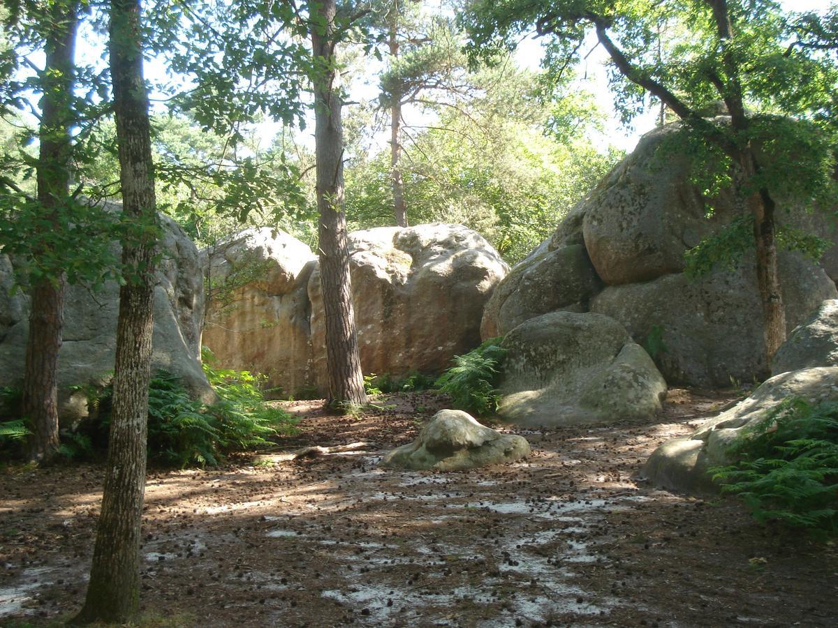 Les Premices De La Foret Chailly-en-Biere Exterior foto