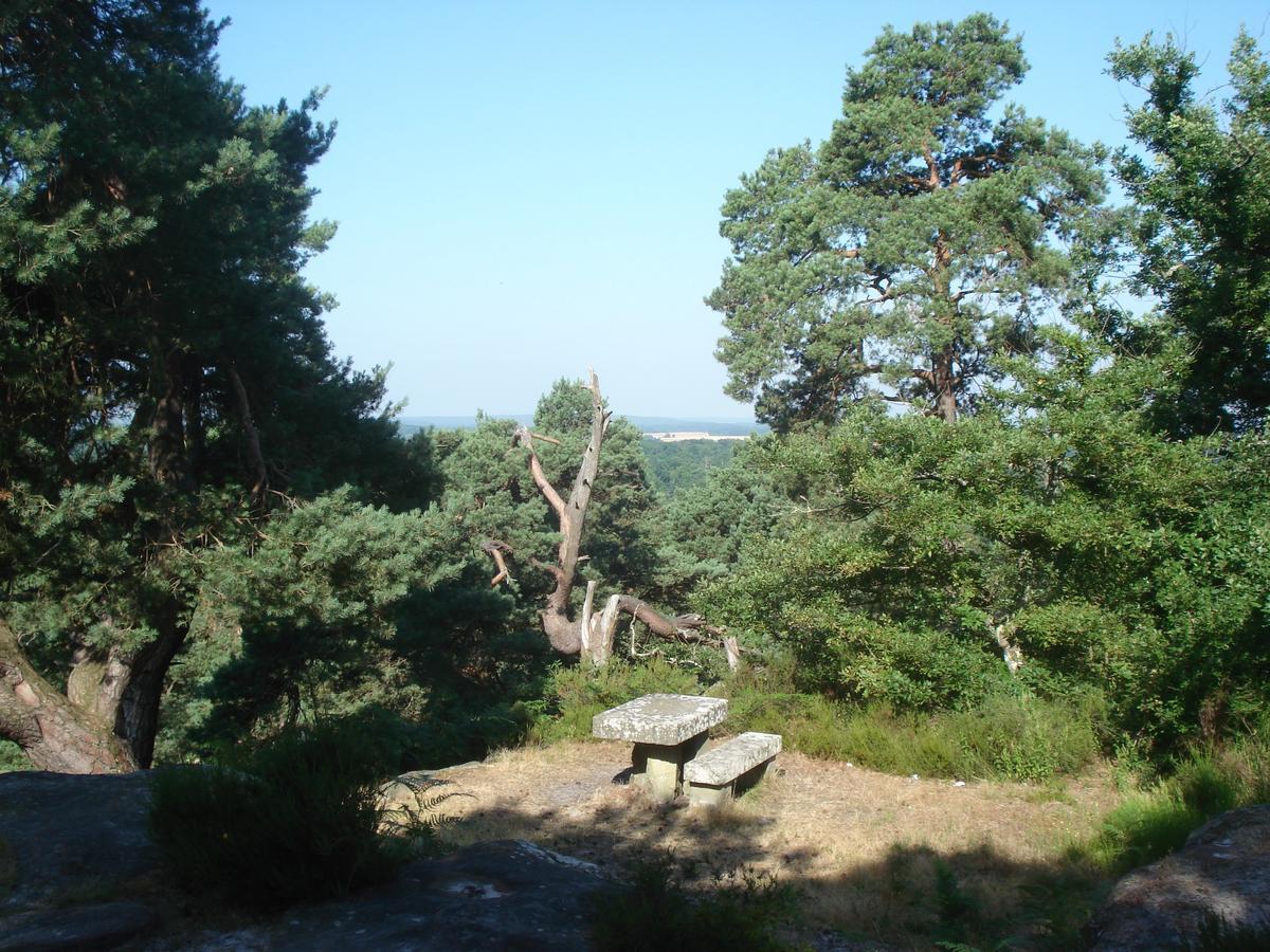 Les Premices De La Foret Chailly-en-Biere Exterior foto